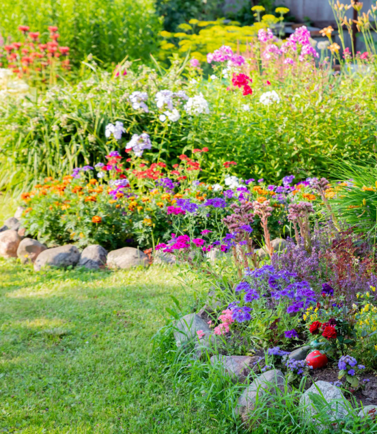 Unlock the Secret Garden – Your Ultimate Guide to Thrifty plant Power